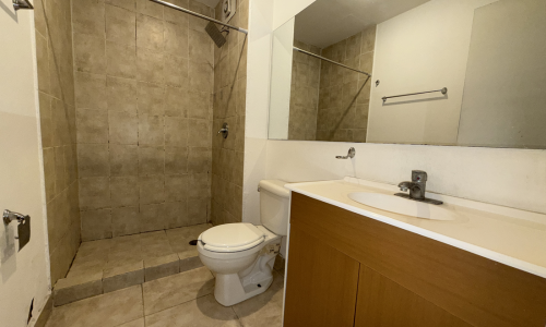 11. Insurgentes Sur 116