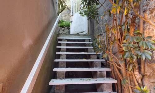 Celestino Celestino 4