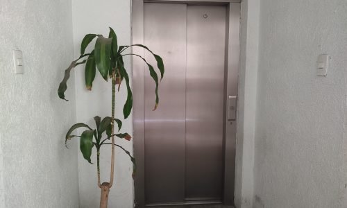 IMG_20250304_123632451