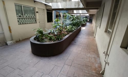 IMG_20250329_135012907_HDR